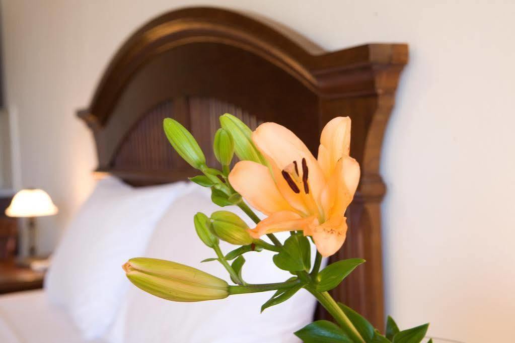 Adriatica Hotel ニキアナ エクステリア 写真